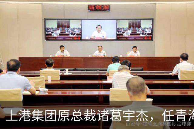 上港集团原总裁诸葛宇杰，任青海省政府党组书记