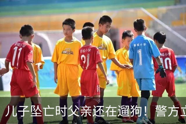 儿子坠亡时父亲还在遛狗！警方立案，母亲曝光铁证，果然有阴谋