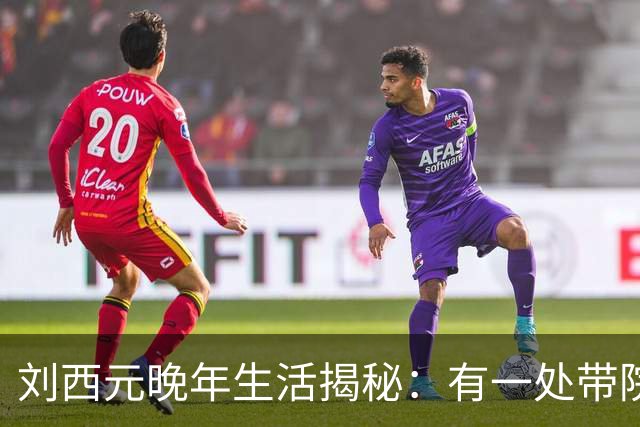 刘西元晚年生活揭秘：有一处带院子的二层小楼，自费三千元修建市场