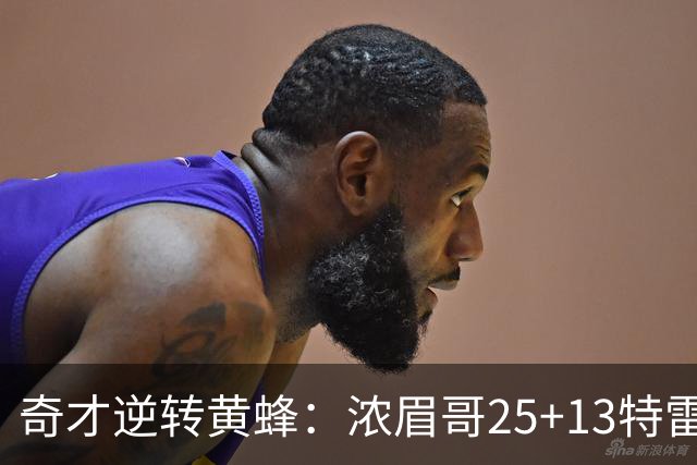 奇才逆转黄蜂：浓眉哥25+13特雷杨21+7+9 迪班萨17+8
