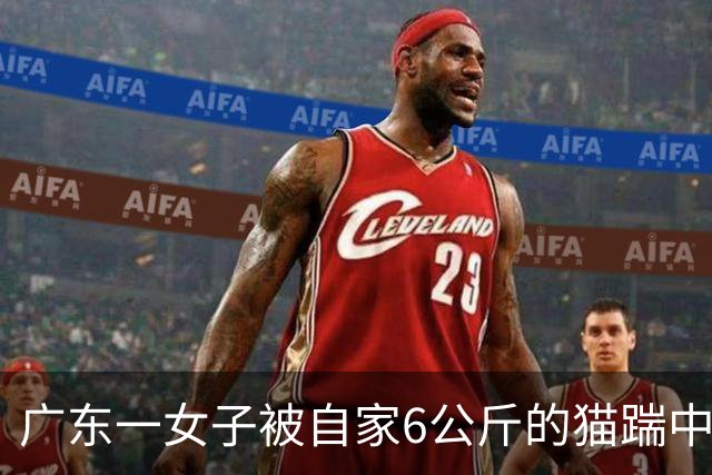 广东一女子被自家6公斤的猫踹中腹部，凌晨疼醒后被送医急救！医生提醒→