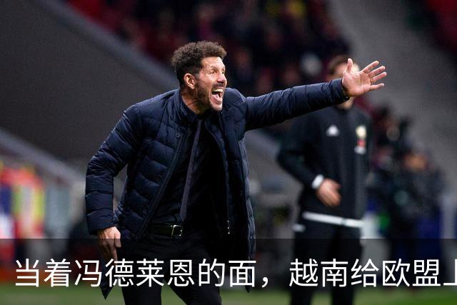 当着冯德莱恩的面，越南给欧盟上了一课：这就是“中国力量”