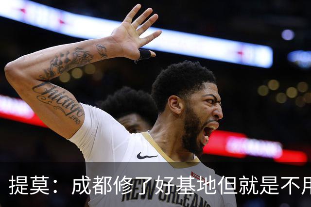 提莫：成都修了好基地但就是不用，这种事在荷兰不会发生