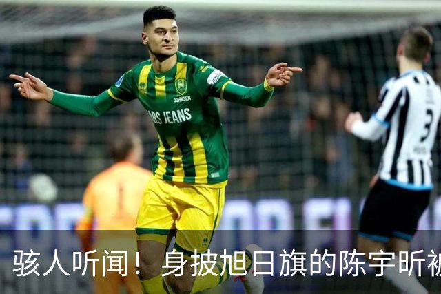 骇人听闻！身披旭日旗的陈宇昕被遣返，还有律师为他辩护