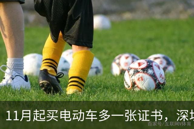 11月起买电动车多一张证书，深圳600万辆存量车不用换